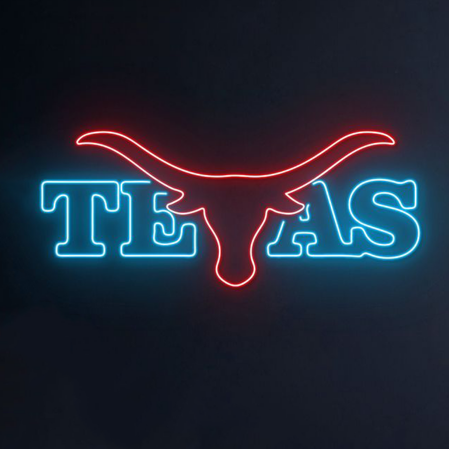 Neon Flex Logos